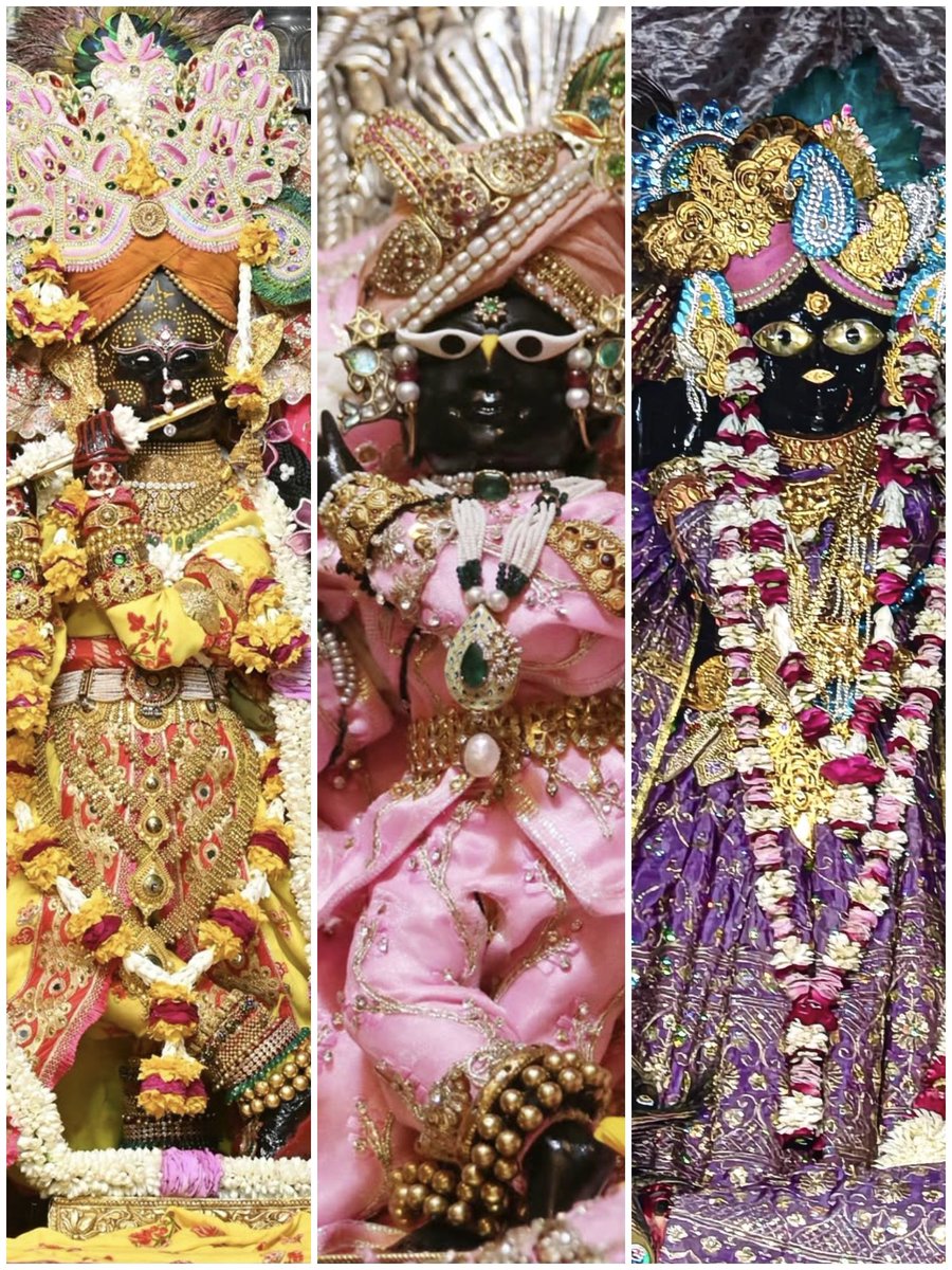 Radhika Ras 🪷 tweet media