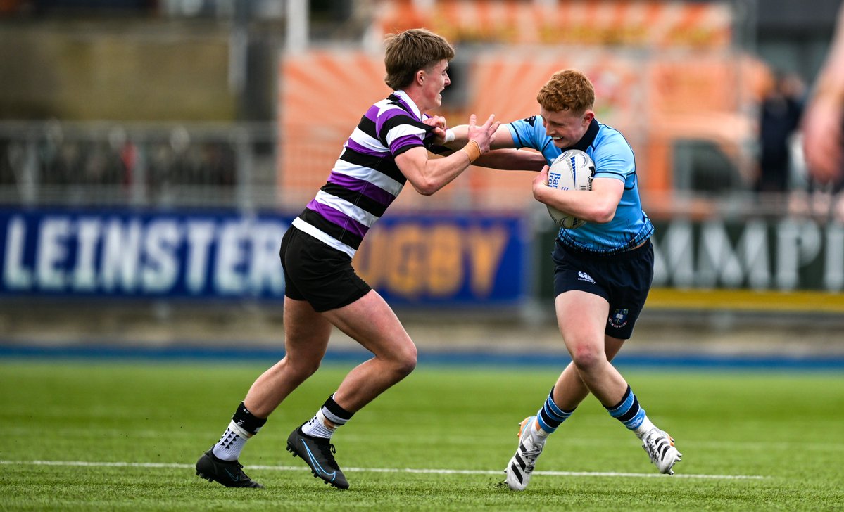 Leinster Domestic tweet media