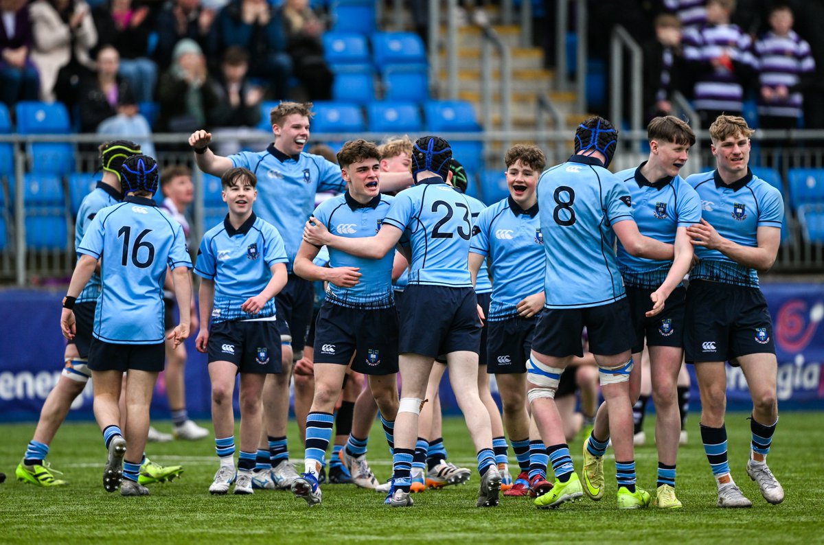 Leinster Domestic tweet media