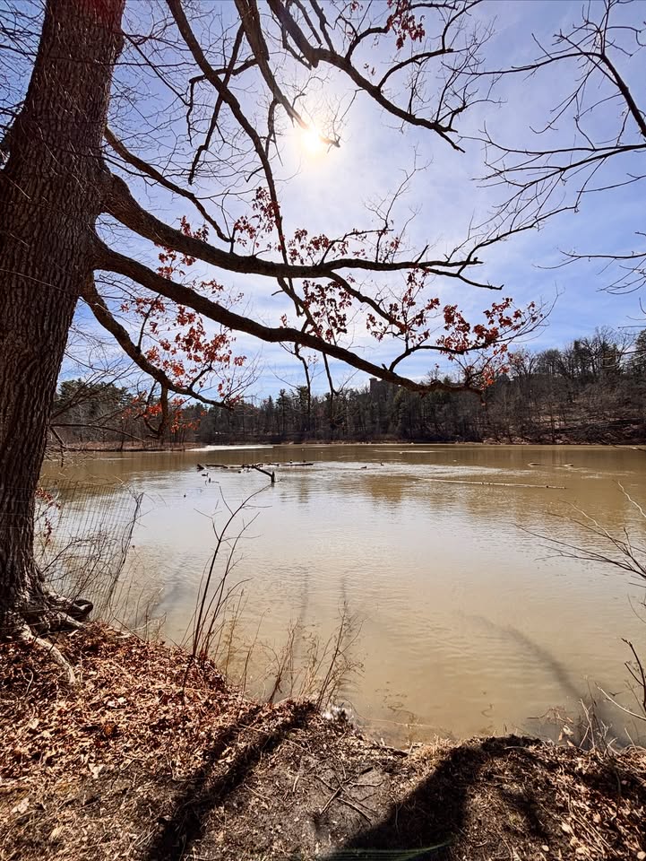 Cornell University tweet media