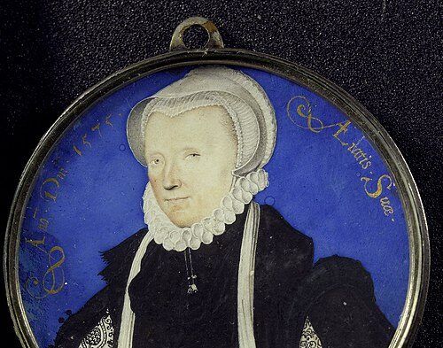 Susan Abernethy tweet media