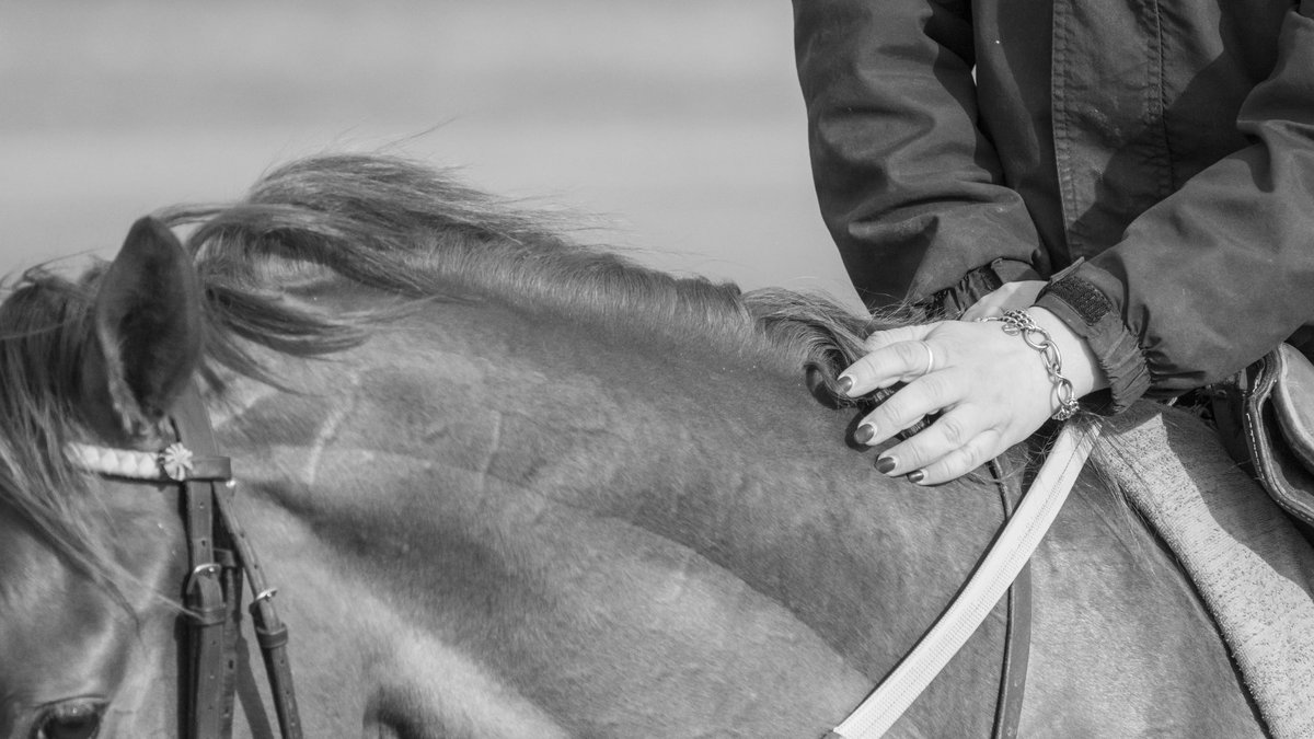 Archie Watson Racing tweet media