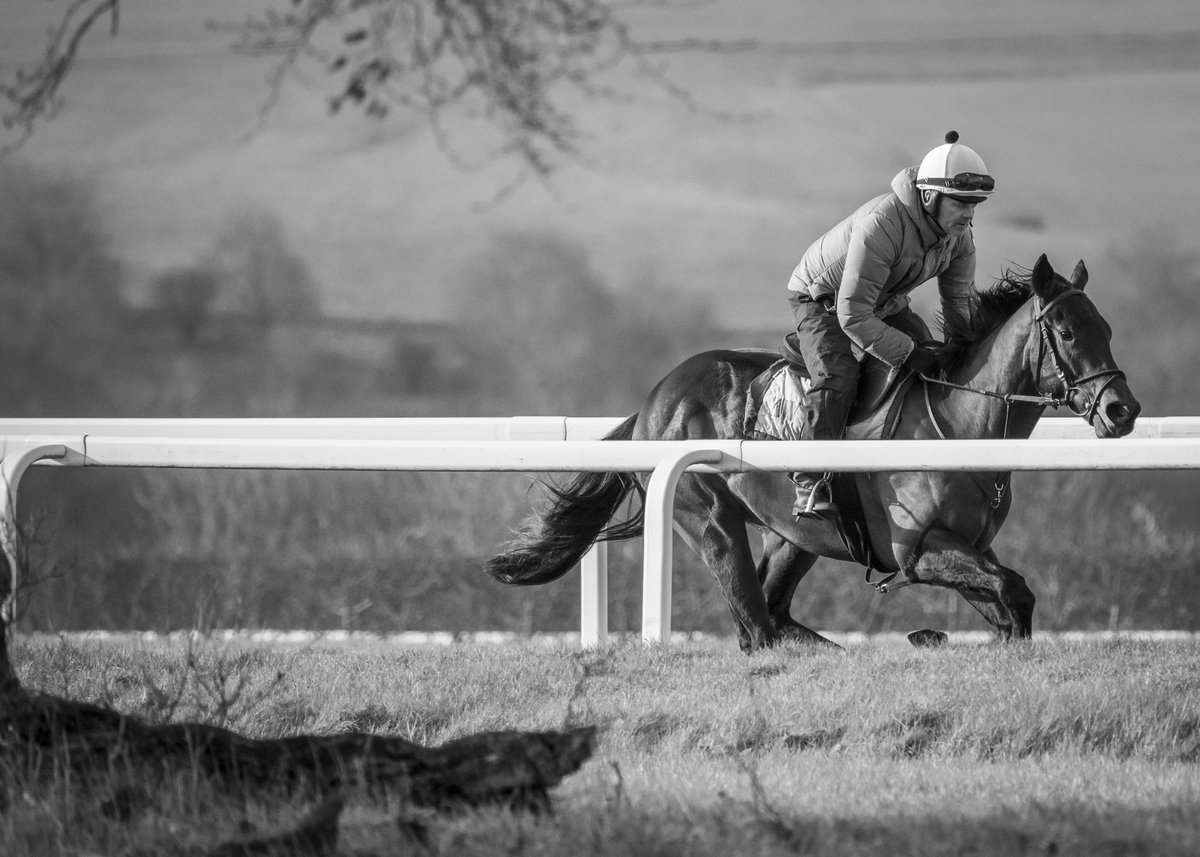 Archie Watson Racing tweet media