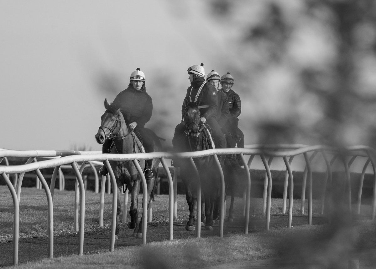 Archie Watson Racing tweet media