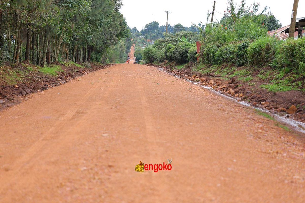 Hon. Clive Ombane Gisairo tweet media