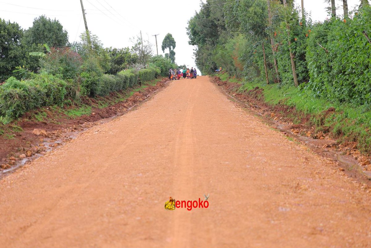 Hon. Clive Ombane Gisairo tweet media