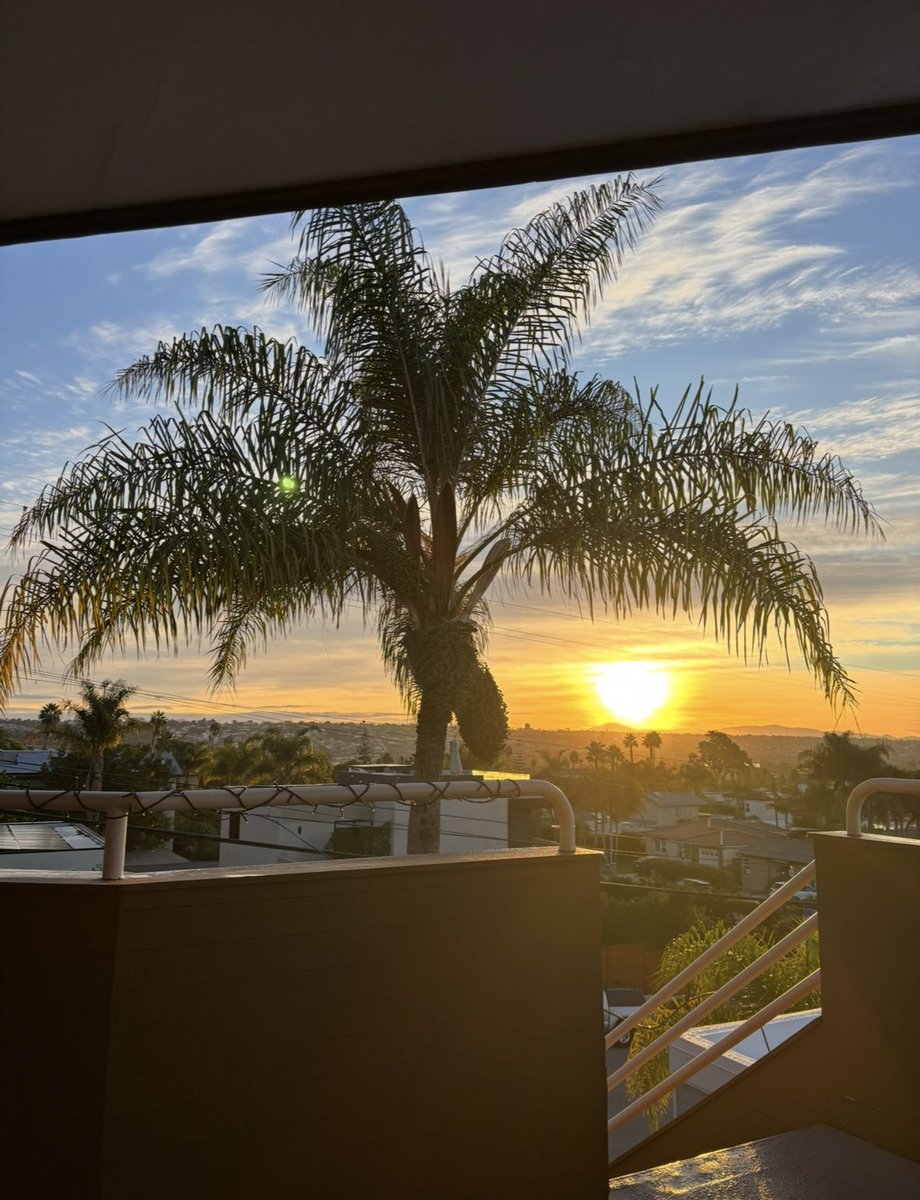 Beaches0411's tweet photo. @DailyPicTheme2 #Aureolin
The yellow sun at sunrise.. https://t.co/73urU2rZpT