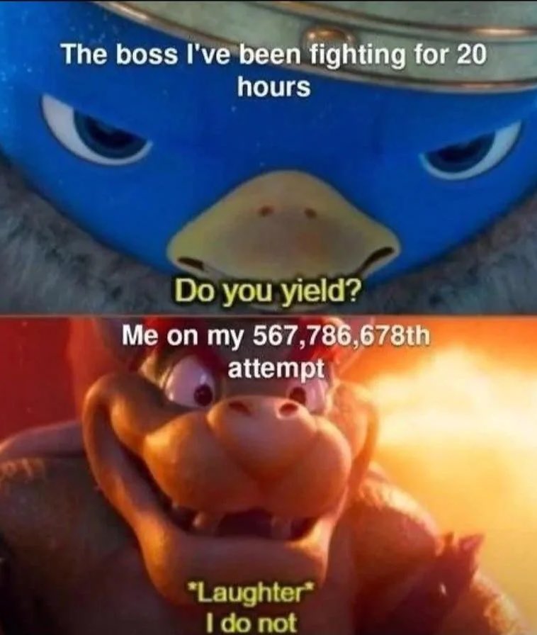 Rino🚀 tweet media