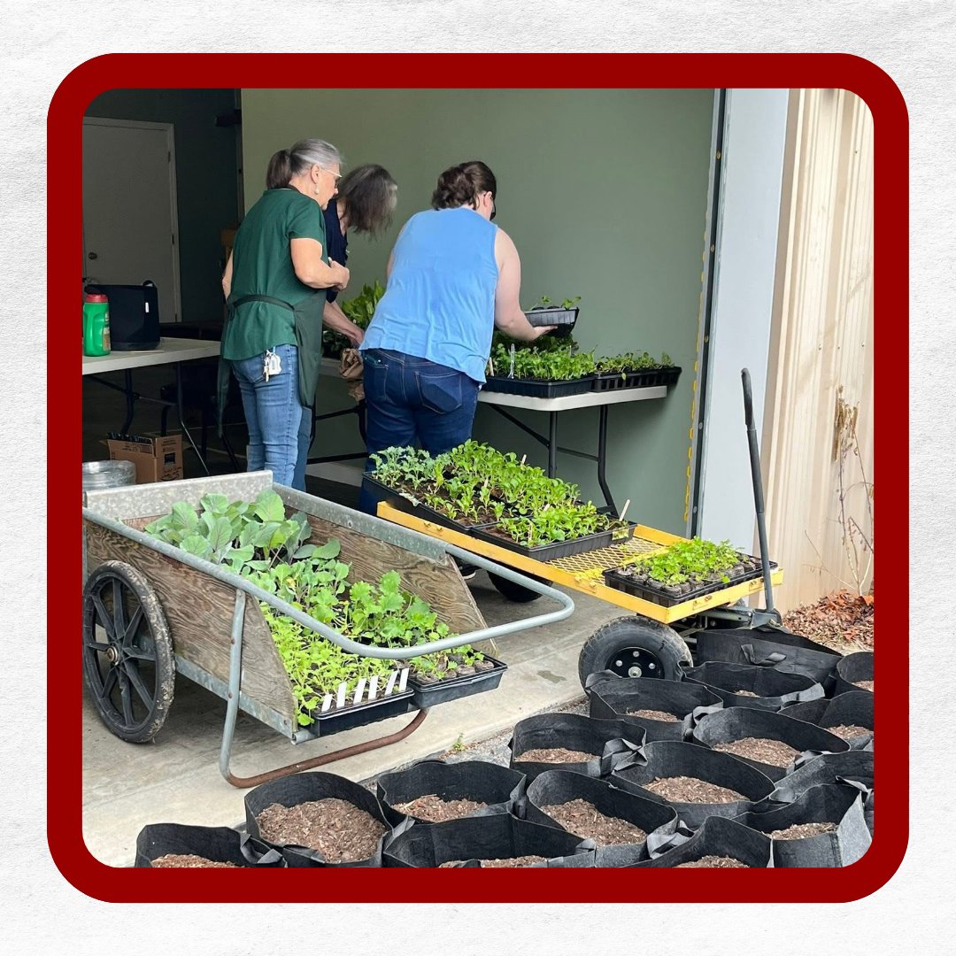 MoreInMyBasket tweet media