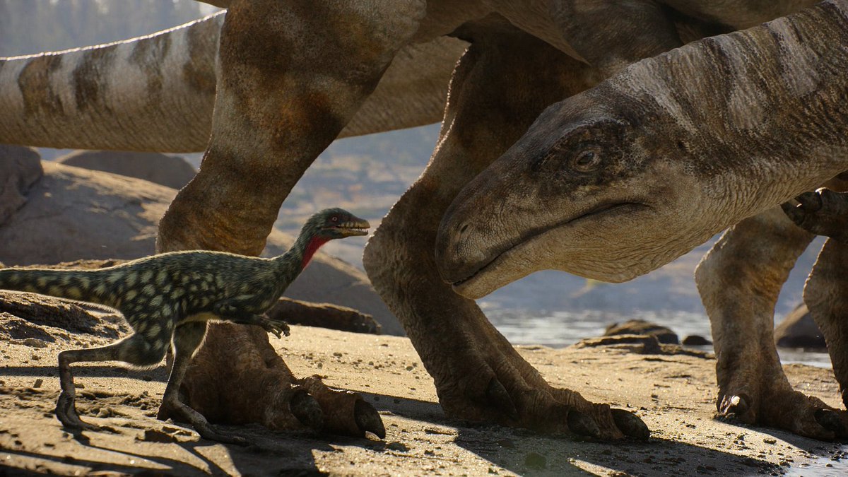 Taylor McCoy 🦖 tweet media