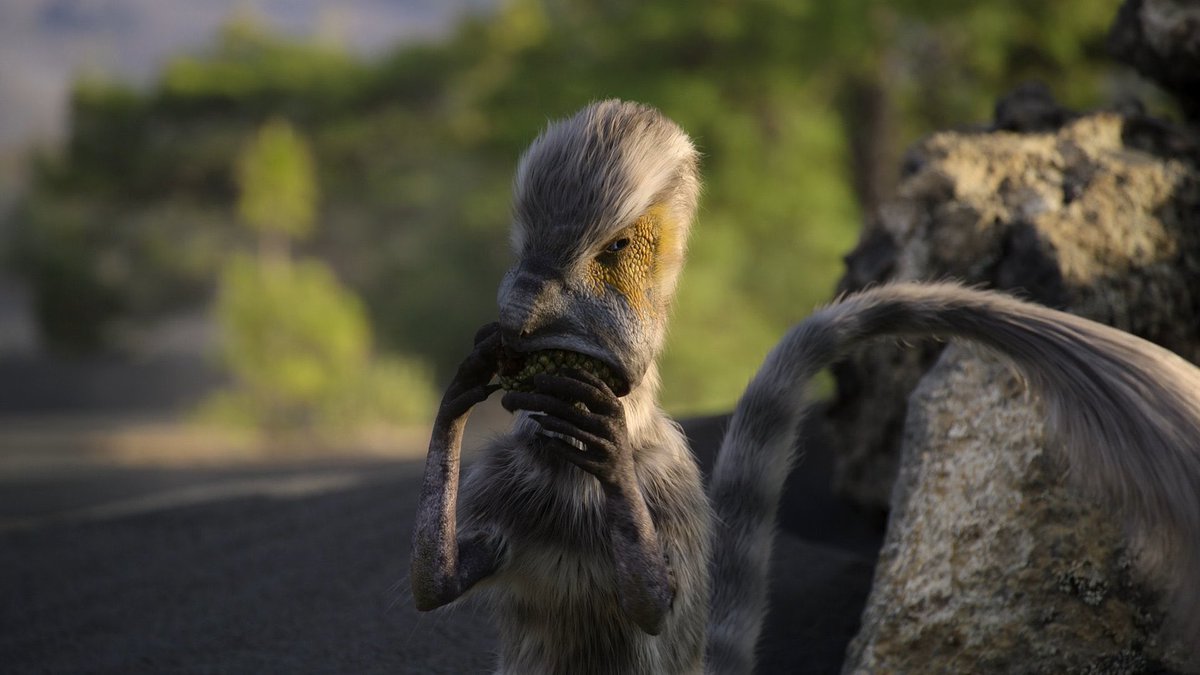 Taylor McCoy 🦖 tweet media