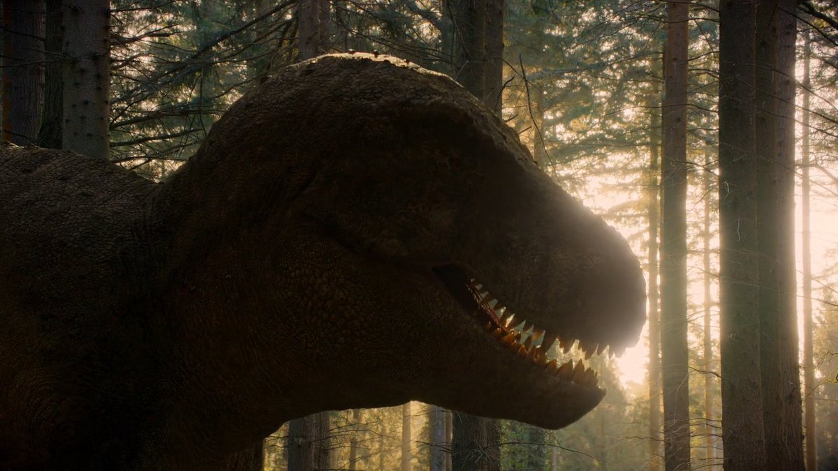 Taylor McCoy 🦖 tweet media