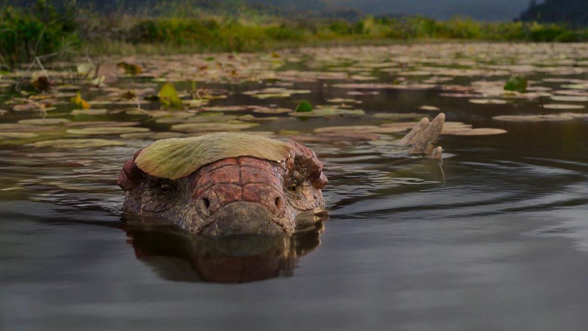 Taylor McCoy 🦖 tweet media