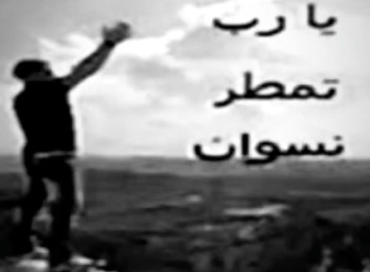 يمكن tweet media