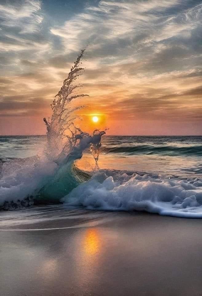 GorselSl's tweet image. #evening #sunset