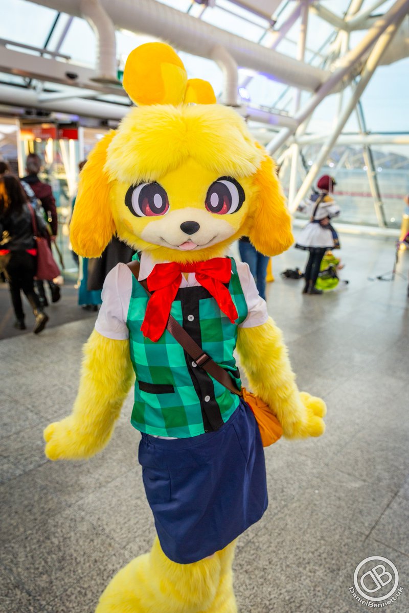 ▪︎Cosplay Mutt▪︎🔜CFZ tweet media