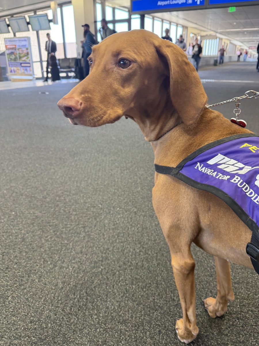 nascarcasm tweet media