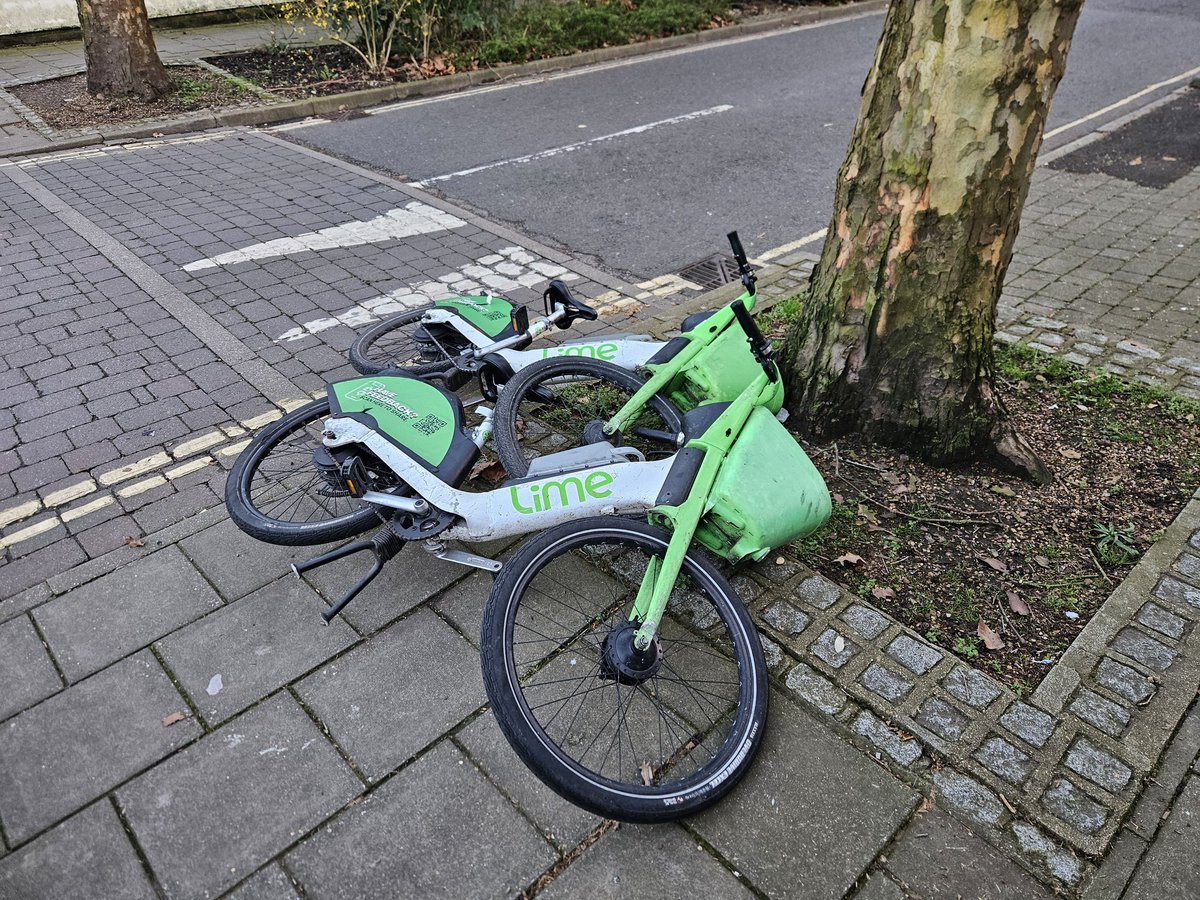 Kaiomurz Motawara tweet media