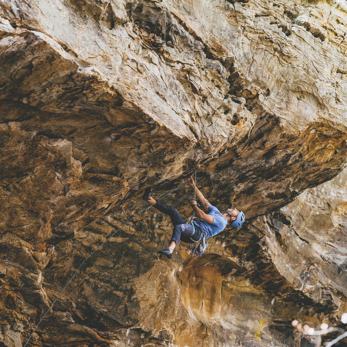 Arkansas State Parks tweet media