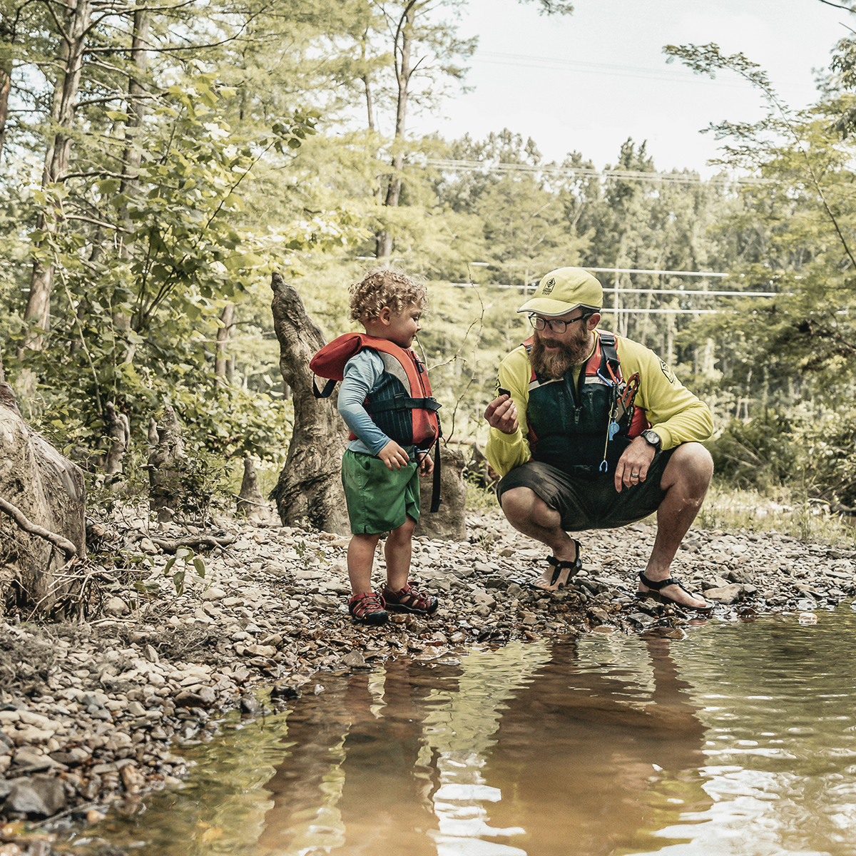 Arkansas State Parks tweet media