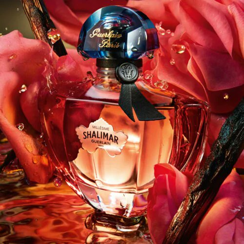 LeNicheur's tweet photo. LES SORTIES 🔥 !

MFK - Oud Velvet mood 🍑🪵
Guerlain - Shalimar Millésime rose 🌹
Kilian - Forbidden Games 🍯🍑
Nicolaï - Fig Tea Intense 🫖💜

Vous attendez quoi ? https://t.co/QvPsngctuF