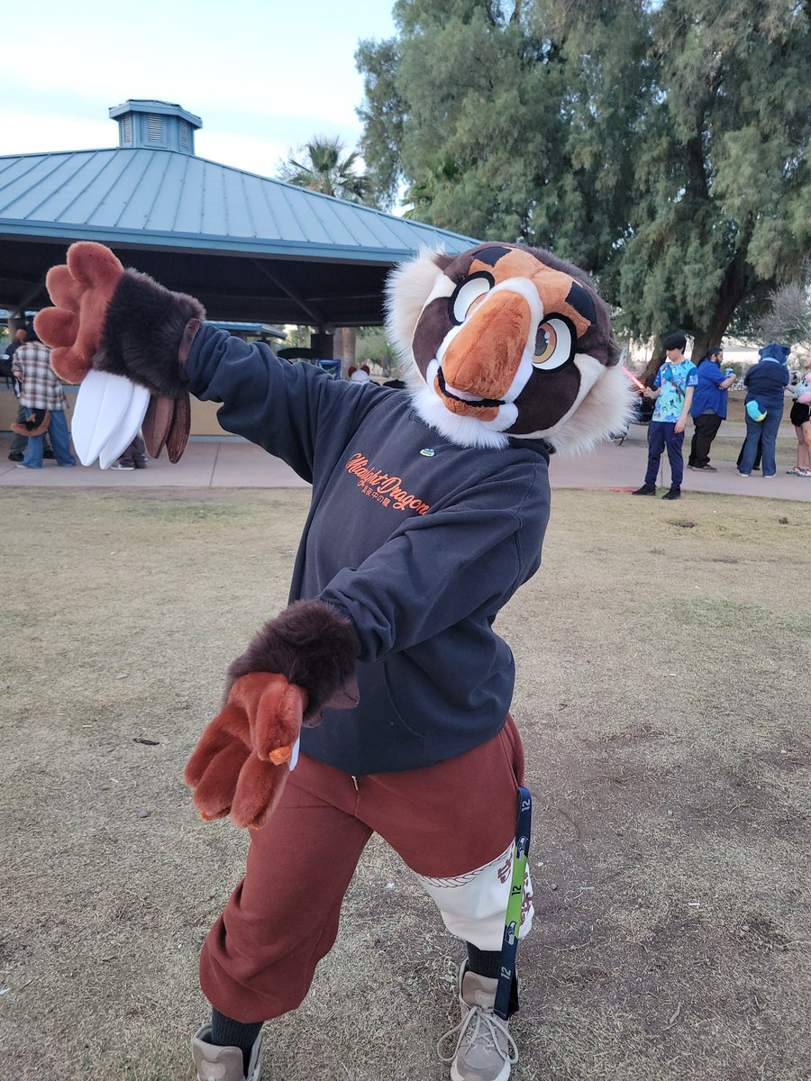 Archie 🔜 LVFC tweet media