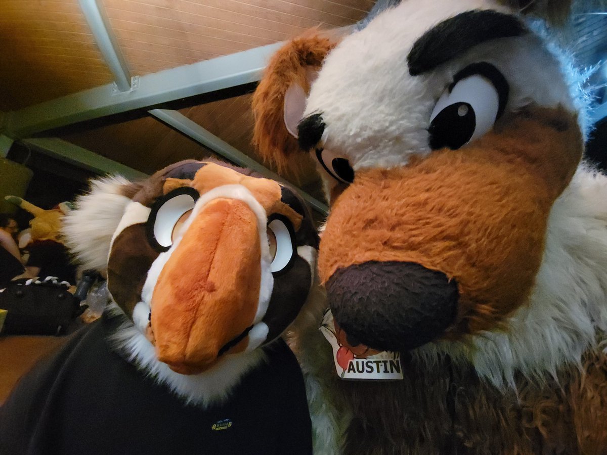 Archie 🔜 LVFC tweet media