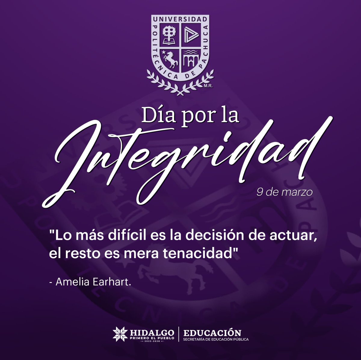 Universidad Politécnica de Pachuca tweet media