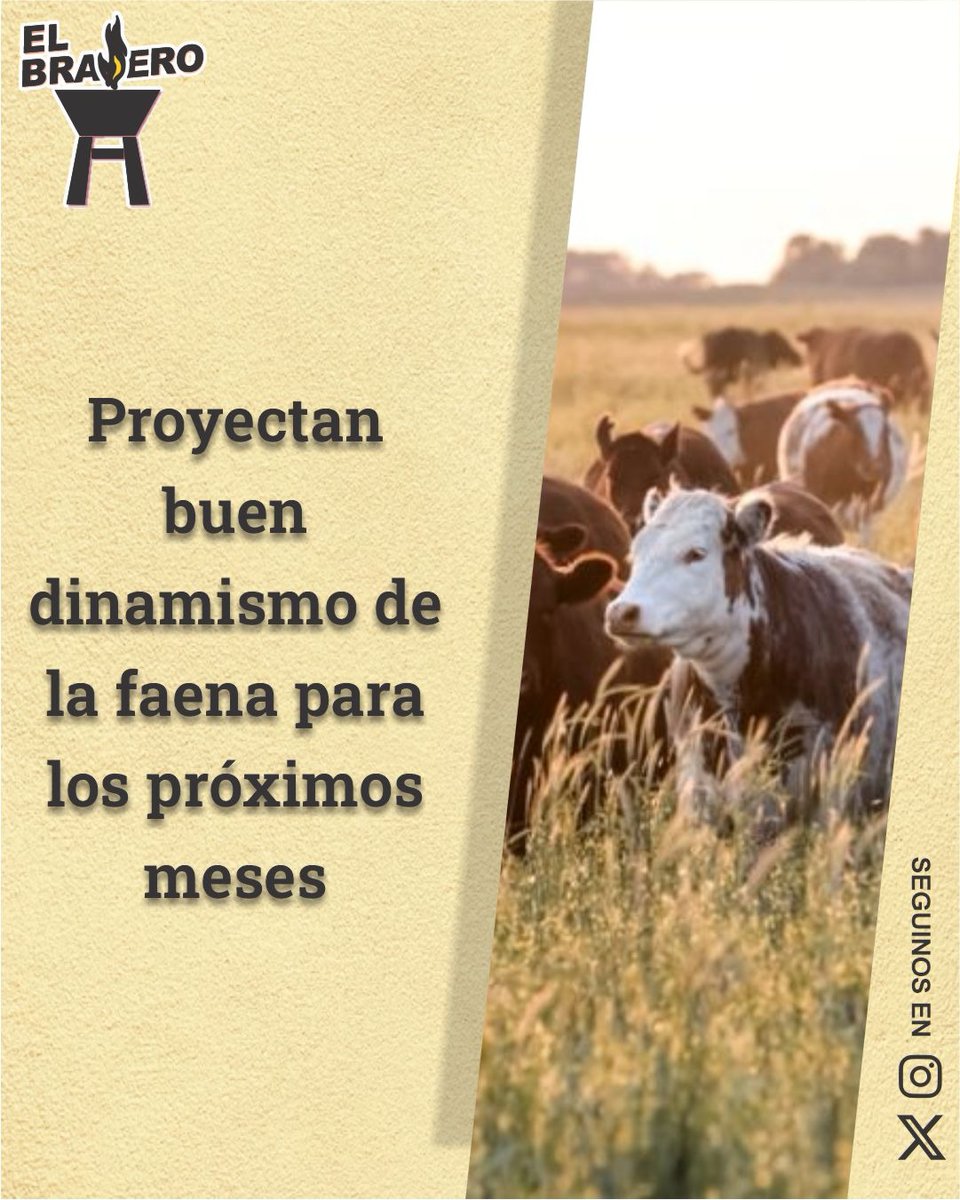 ElBraseroPy tweet media