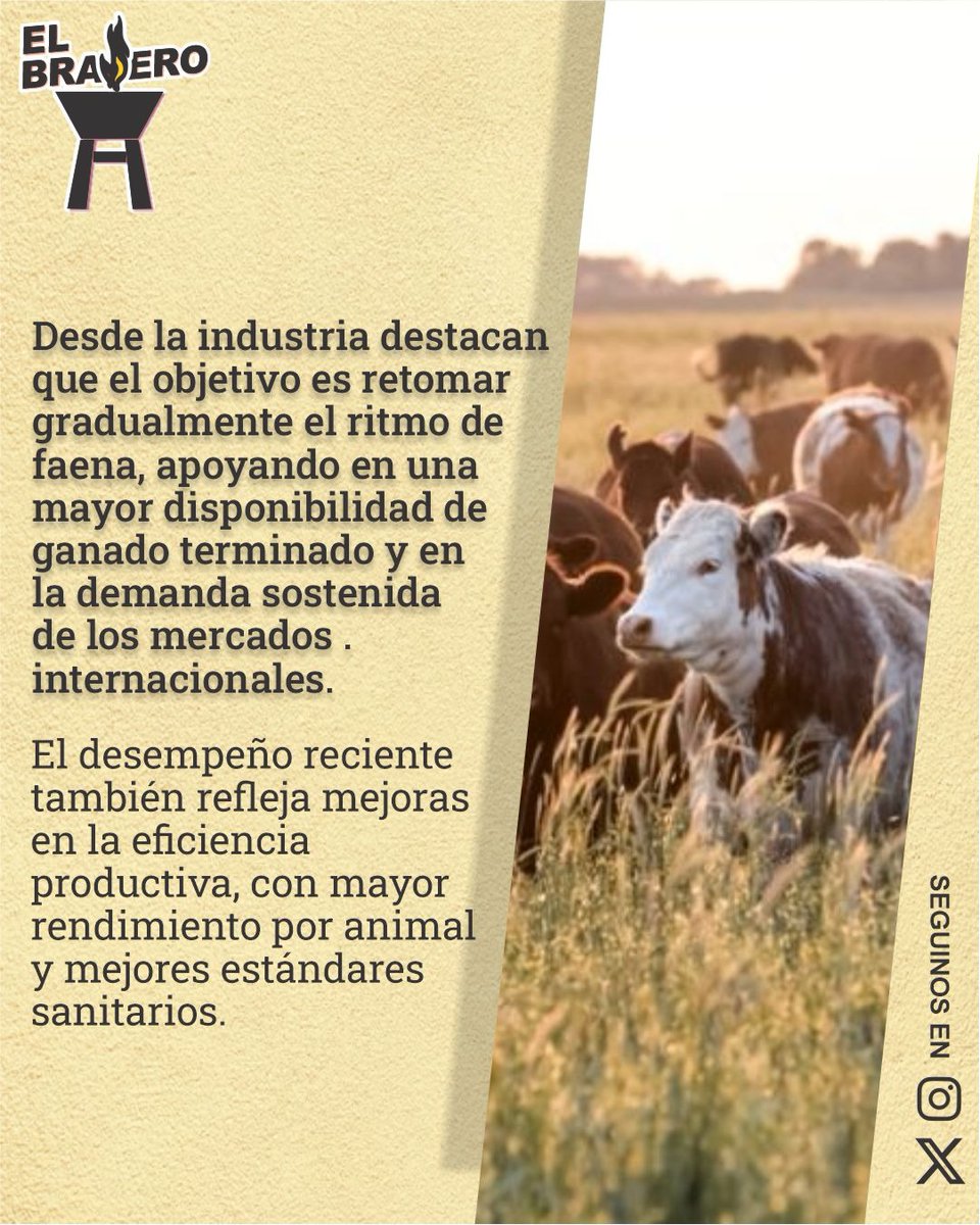 ElBraseroPy tweet media