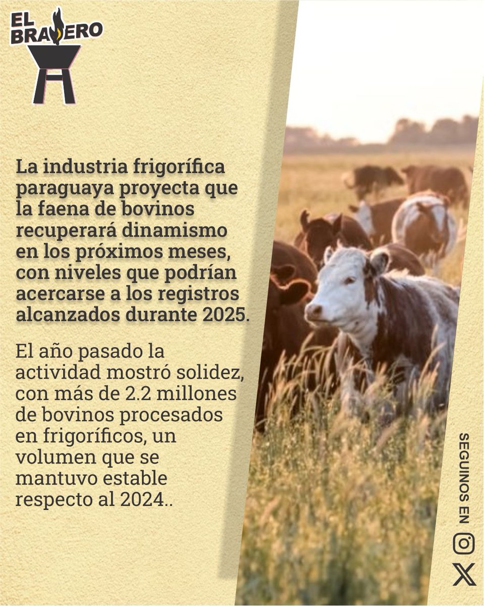 ElBraseroPy tweet media