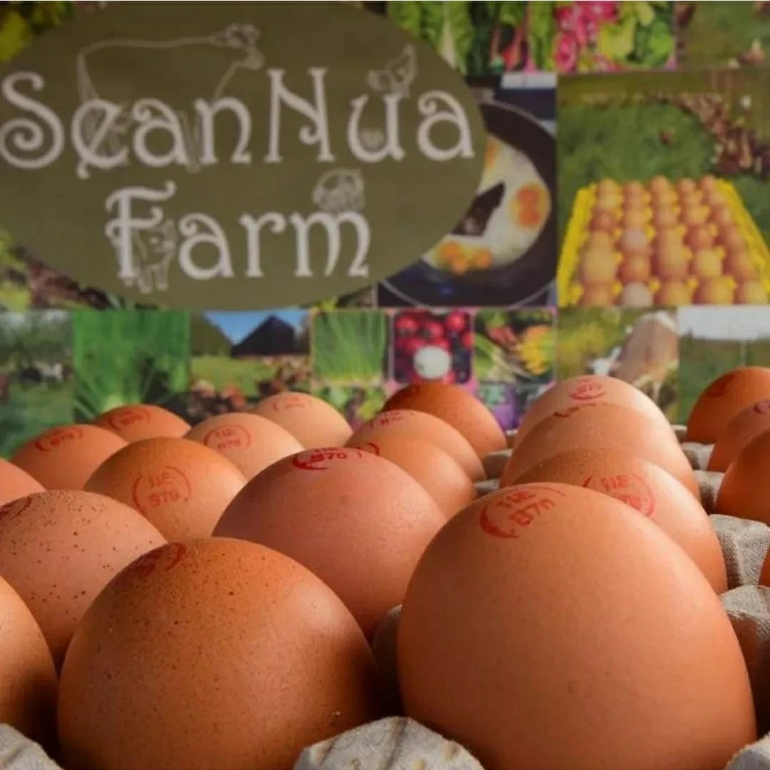 Created in Cavan tweet media