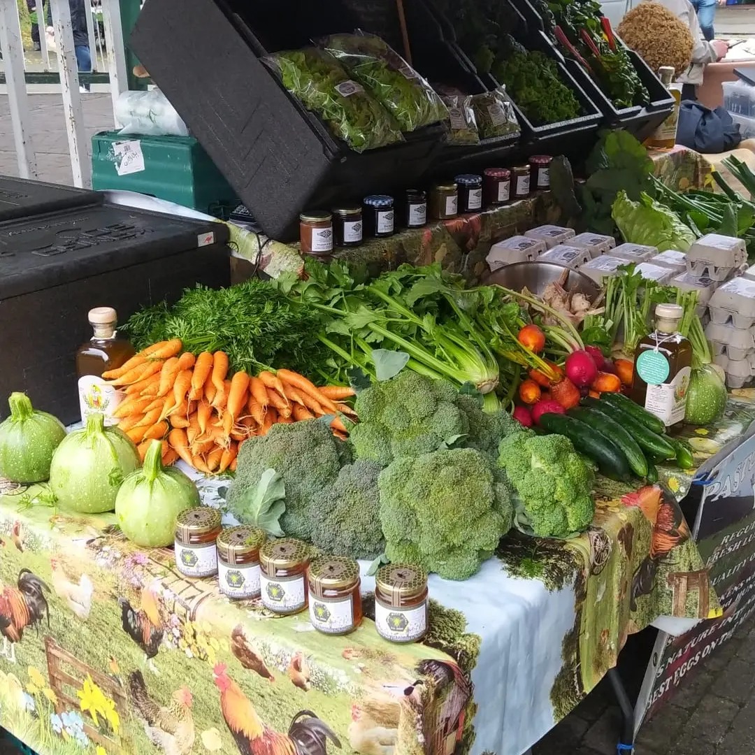 Created in Cavan tweet media