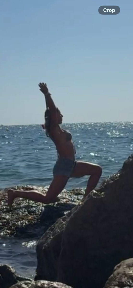 The Old Court tweet media