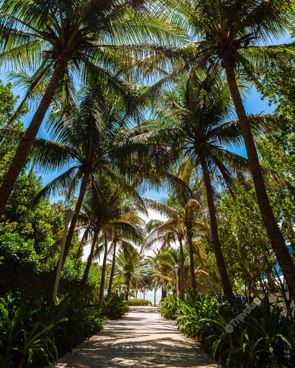 travolax's tweet photo. Hey, this is Miami calling. https://t.co/jUS0qSaAWD