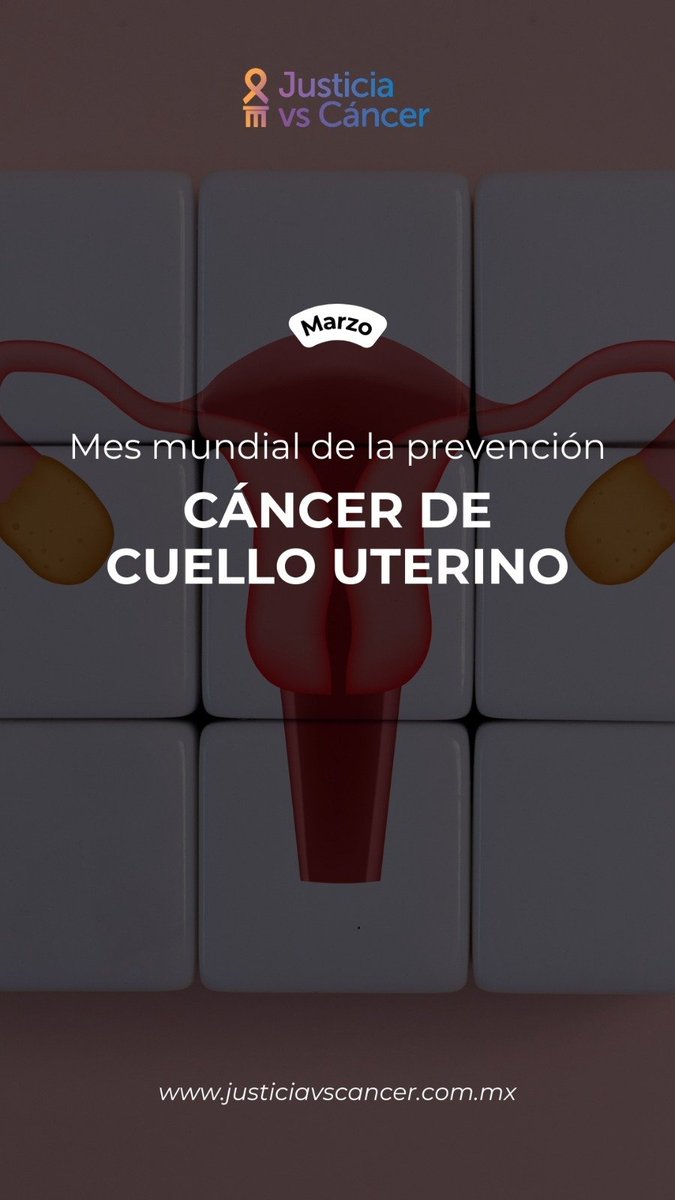 La información, la detección oportuna y el acceso a tratamientos son clave para proteger la vida y la salud de miles de mujeres

En <a href="/JusticiavsC/">JusticiavsCáncer</a> trabajamos para que ninguna persona vea interrumpido su tratamiento por falta de acceso a servicios de salud
📲 justiciavscancer.com.mx