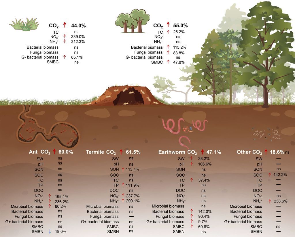 Global Change Biology tweet media