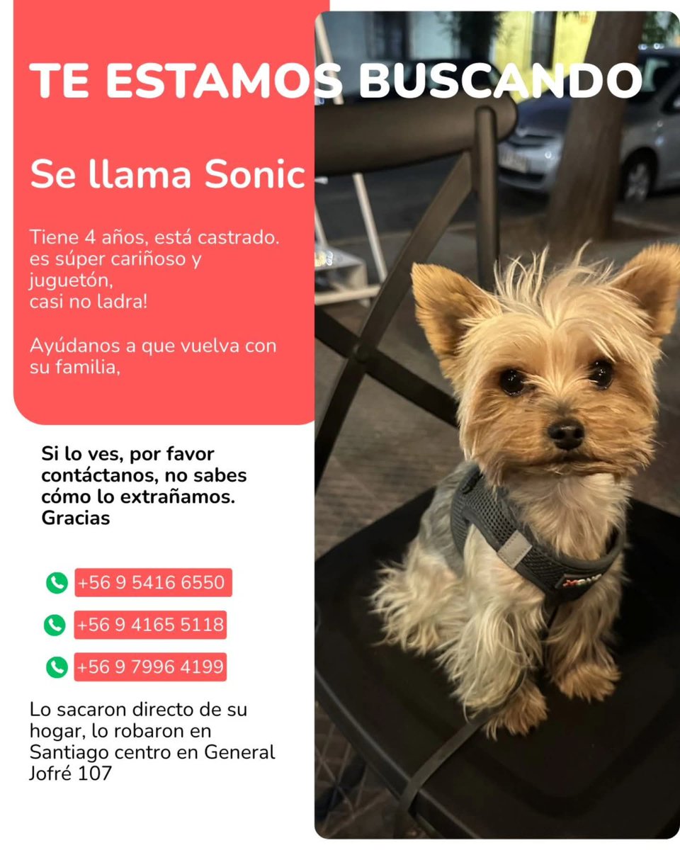 todopormiperro's tweet photo. https://t.co/feTyaiHsKX