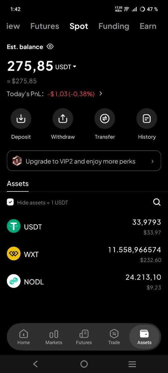 Kungfuria Guapo tweet media