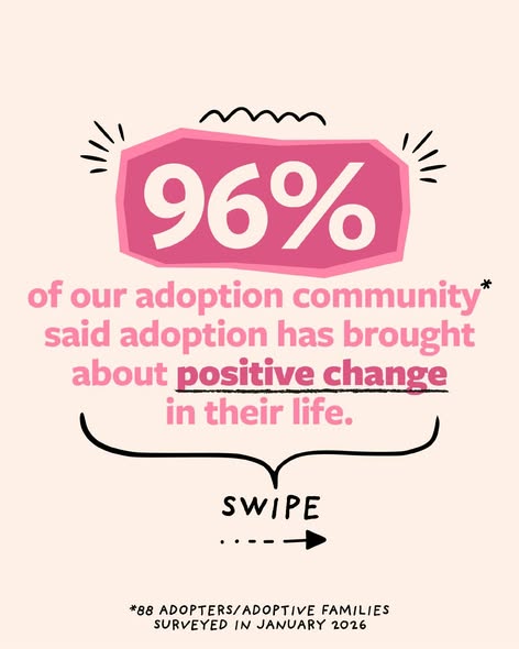 Adoption Counts tweet media