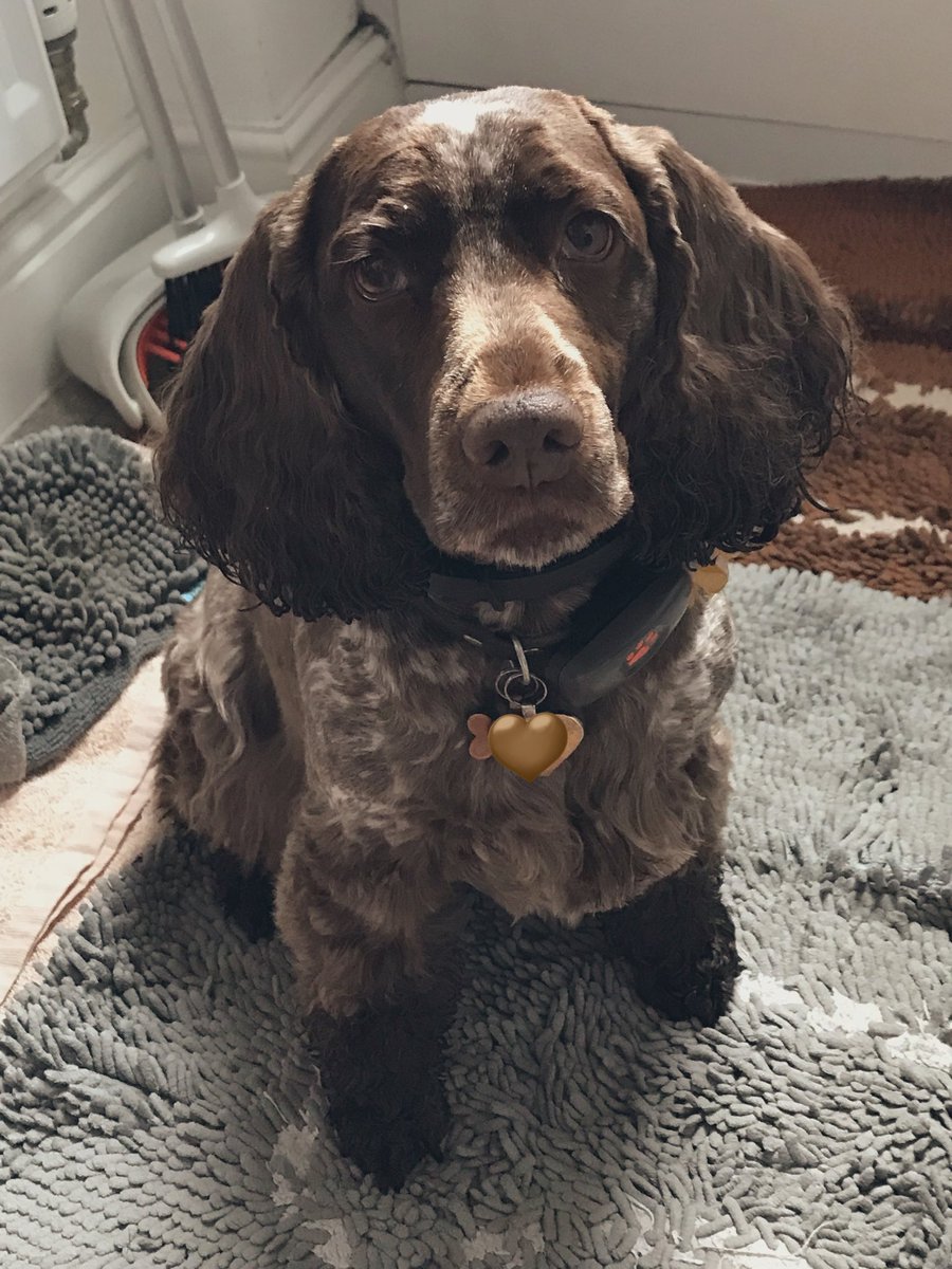 RosieandJane tweet media