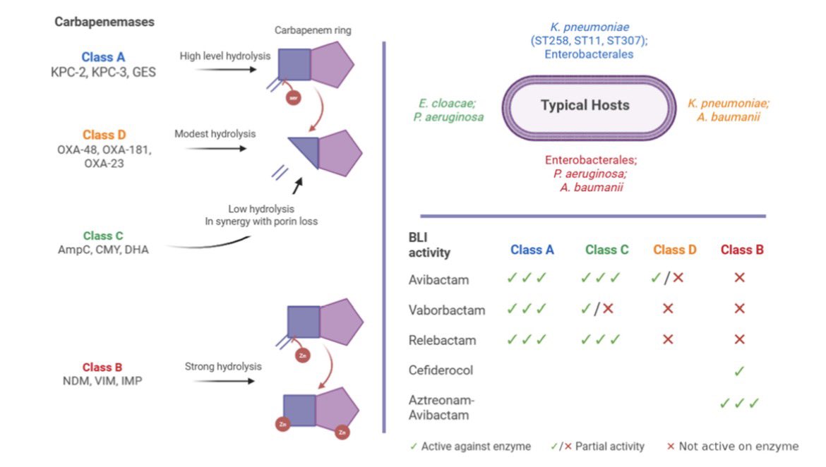 AliSMV7's tweet photo. Novel Insights into Carbapenem Resistance: Mechanisms, Diagnostics, and Future Directions

https://t.co/SktxtVIOs4 https://t.co/ytZ5LEkBFV