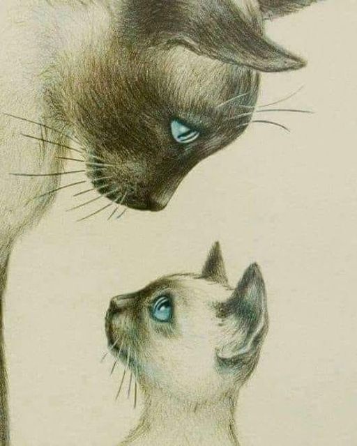 silvia mensegar tweet media