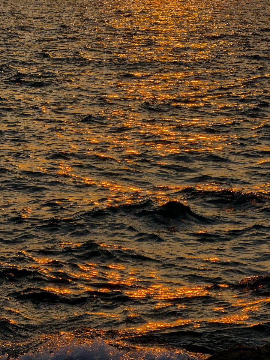 World Beauty's (@worldbeaut90495) on Twitter photo 