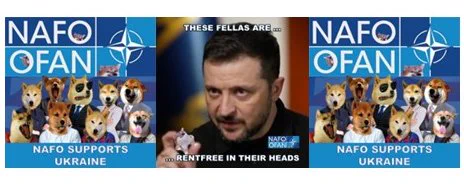 Article cover image