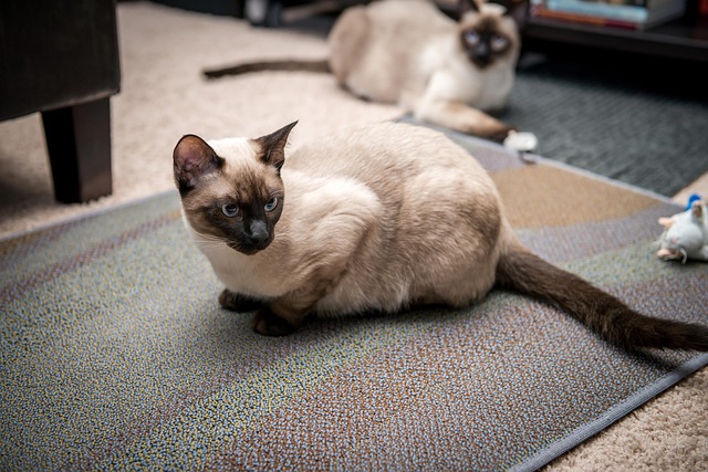 Mark Endricko tweet media