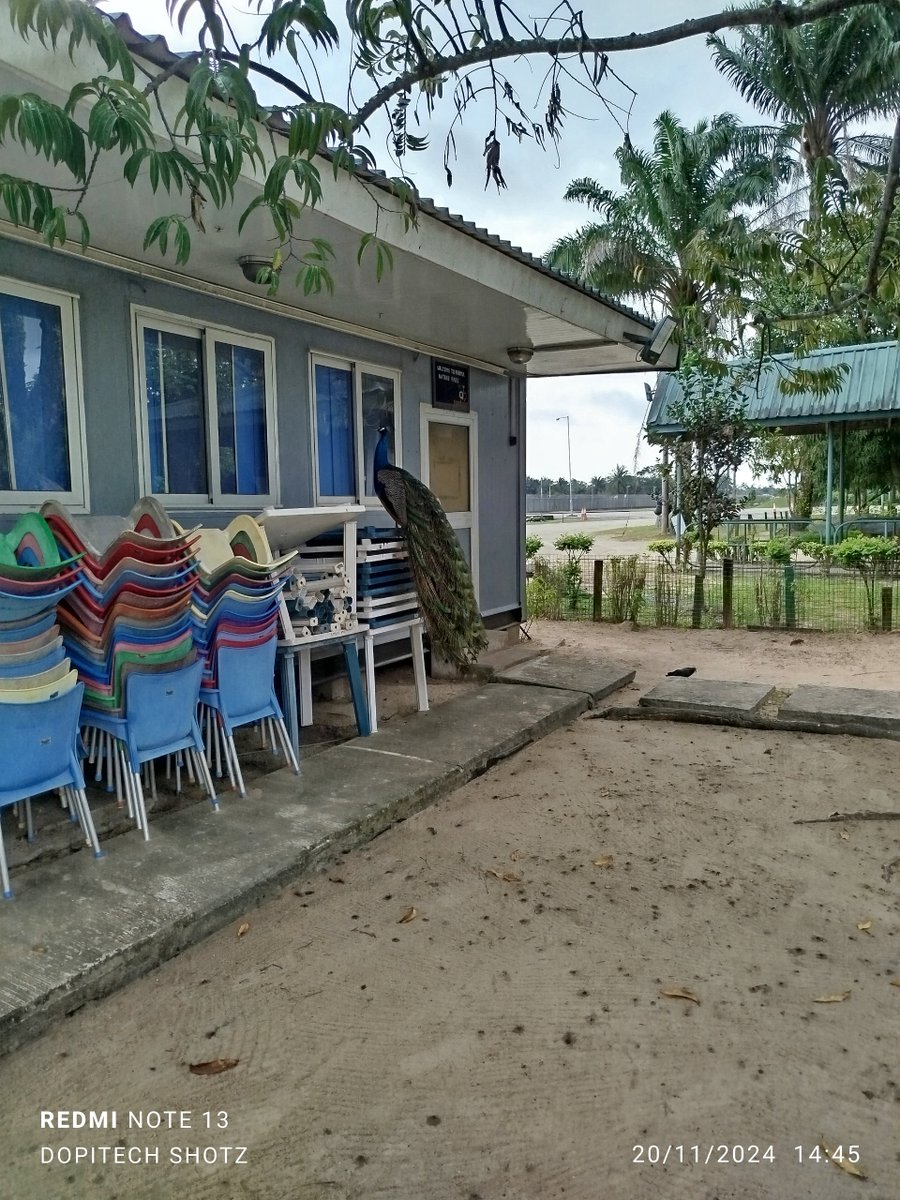 Samuel Ebuka Odamah tweet media