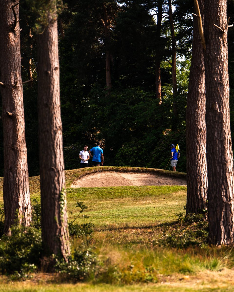 Sunningdale Heath tweet media