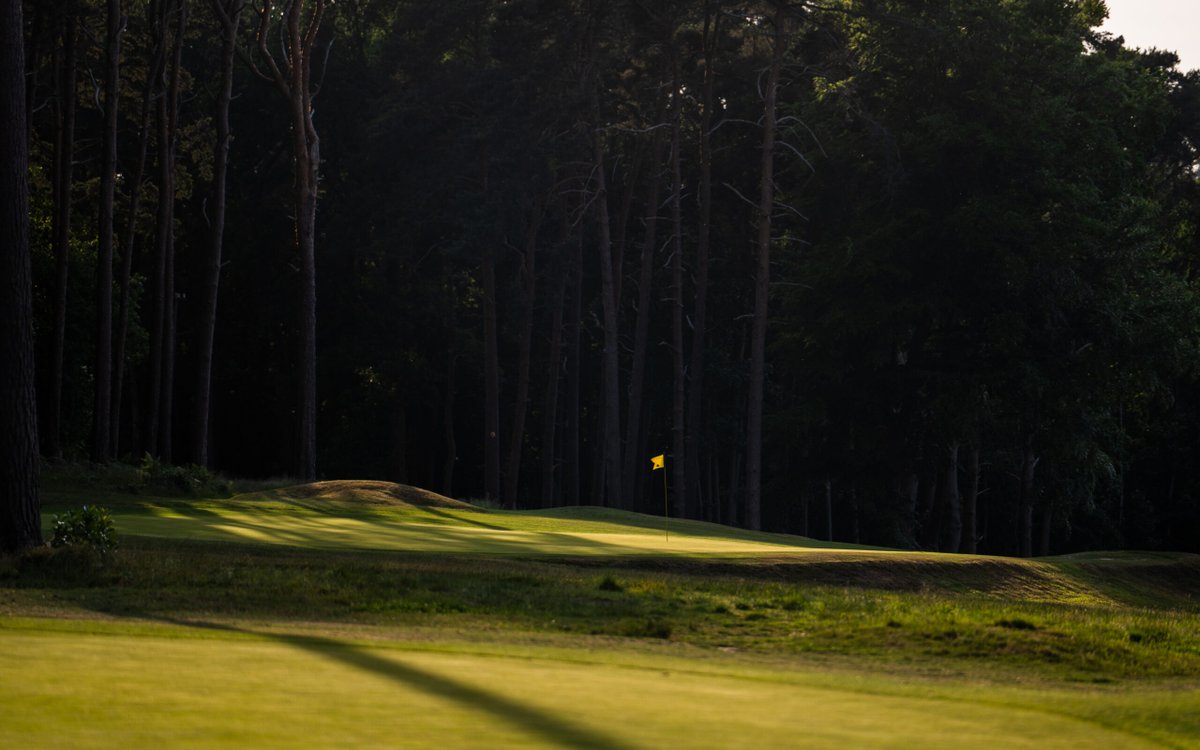 Sunningdale Heath tweet media