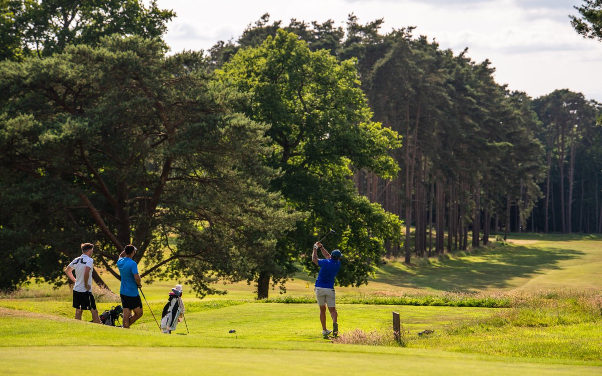 Sunningdale Heath tweet media